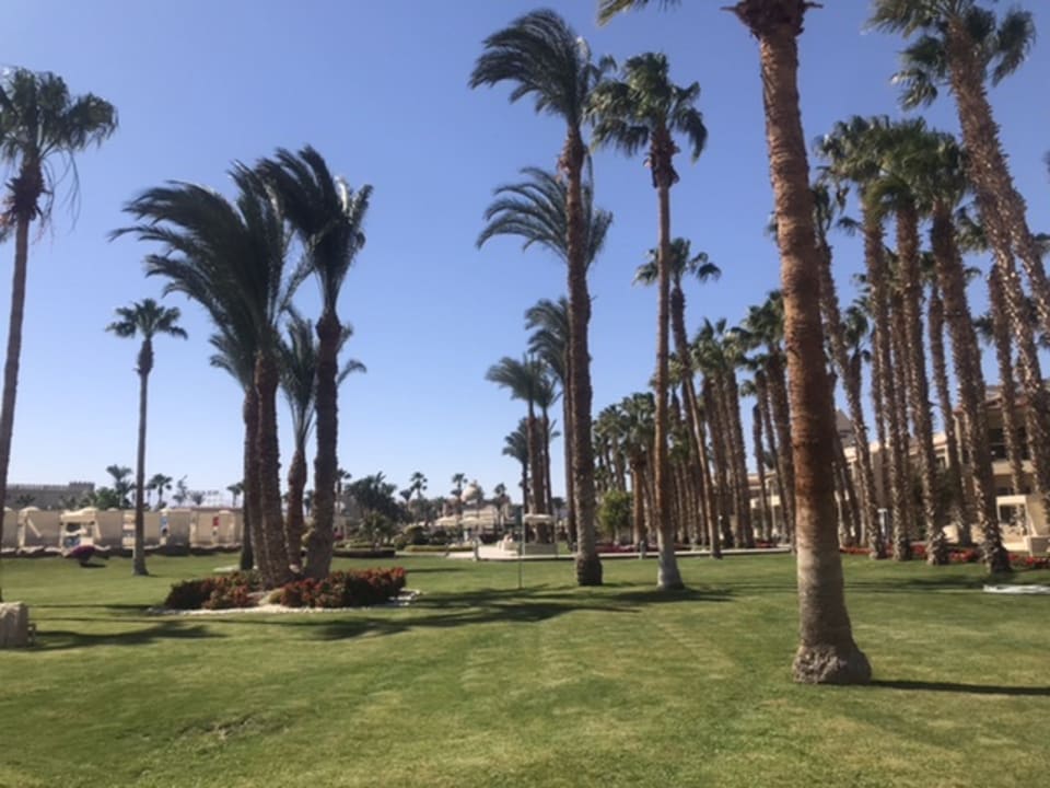 Gartenanlage Beach Albatros Resort