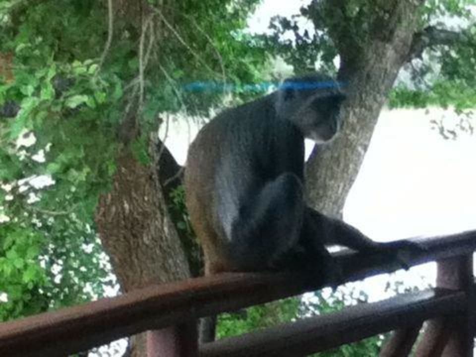 SENTIDO Neptune Paradise Beach Resort Neptune Paradise Beach Resort & Spa