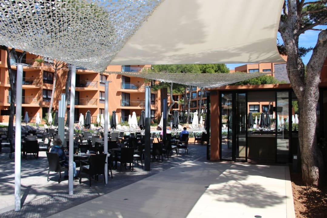 Pool Protur Turo Pins Hotel