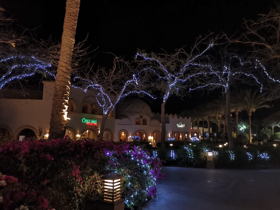 Gastro Stella Beach Resort & Spa Makadi Bay