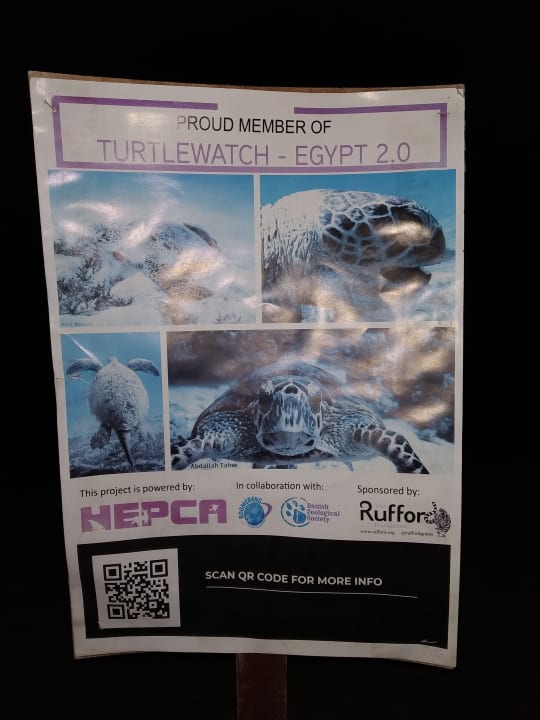 Strand Malikia Resort Abu Dabbab