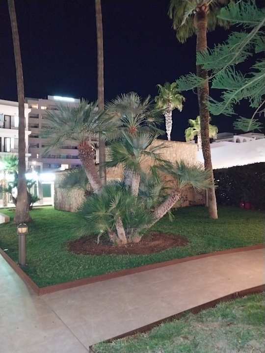 Gartenanlage CM Playa del Moro