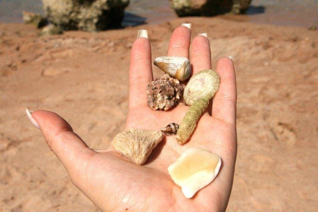 Plażowe skarby Safir Sharm Waterfalls Resort