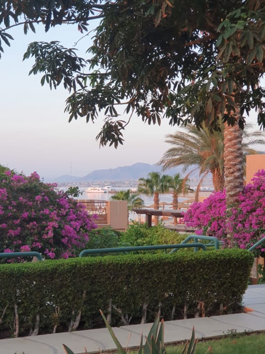 Außenansicht Shams Prestige Abu Soma-Adults Only