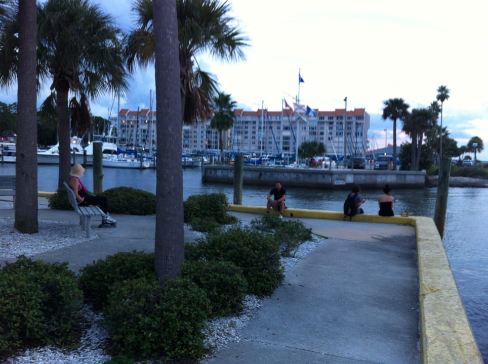 Am Pier von Dunedin Holiday Inn Express Hotel & Suites Clearwater North-Dunedin