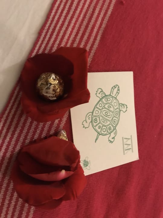 Zimmer Akumal Bay Beach & Wellness Resort