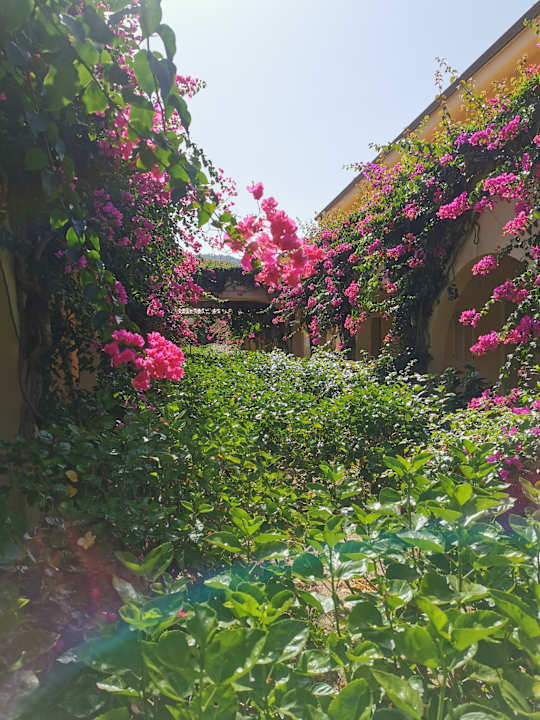 Gartenanlage TUI MAGIC LIFE Calabria