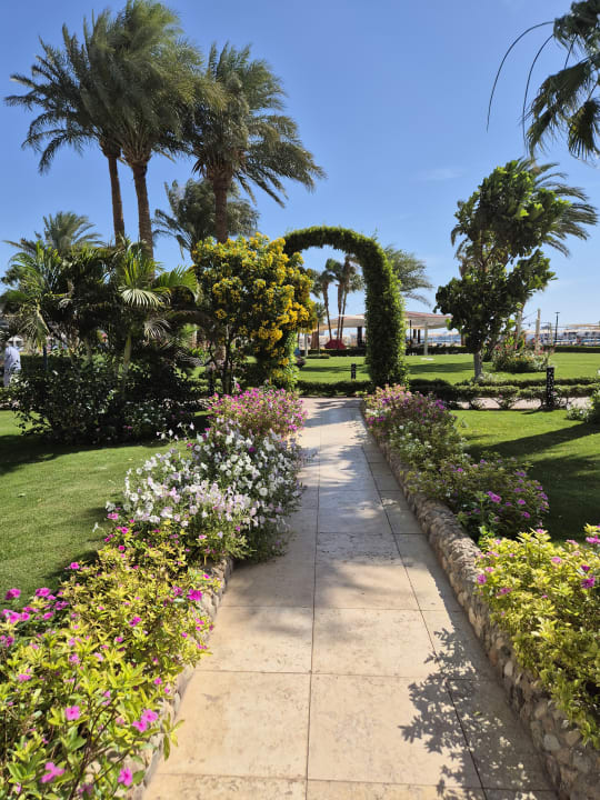 Gartenanlage Amarina Abu Soma Resort & Aquapark