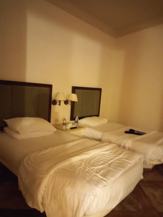 Zimmer Pickalbatros Citadel Resort