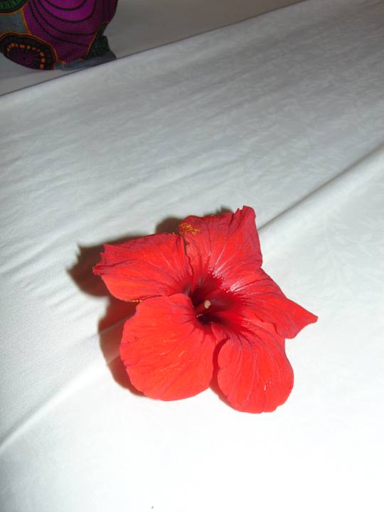 Zimmer Zan View Hotel