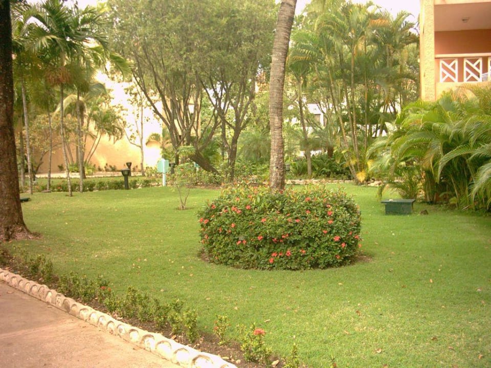 Die Anlage selbst Emotions by Hodelpa Puerto Plata