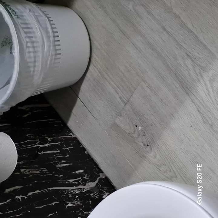 Zimmer BelleVue Club