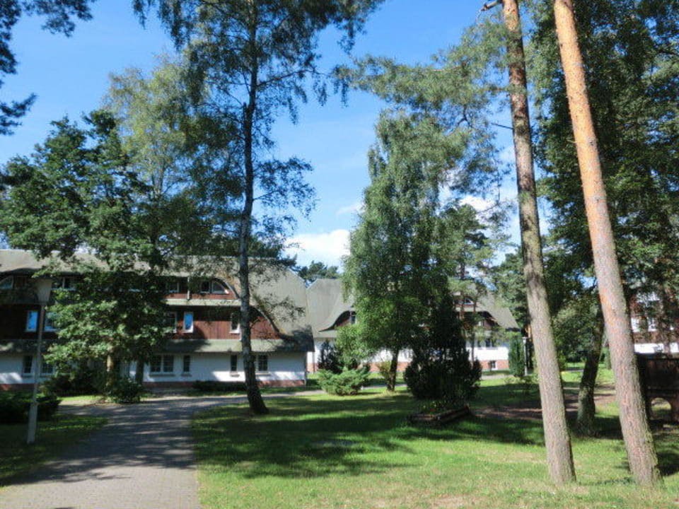 Blick aus unserem Haus Kinderresort Usedom