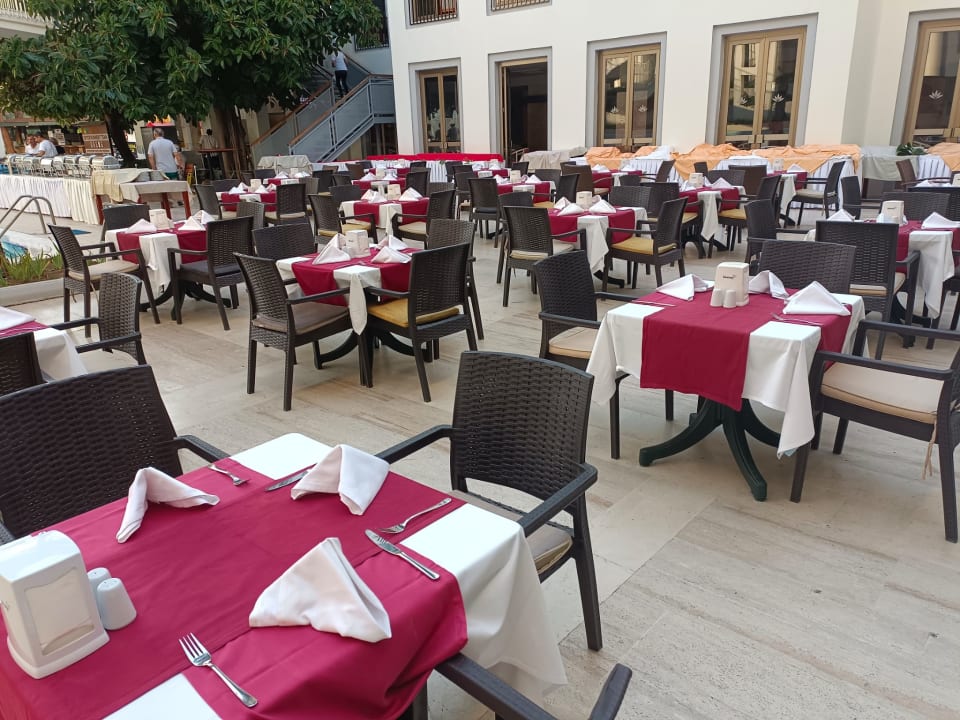 Gastro Asteria Collection Side