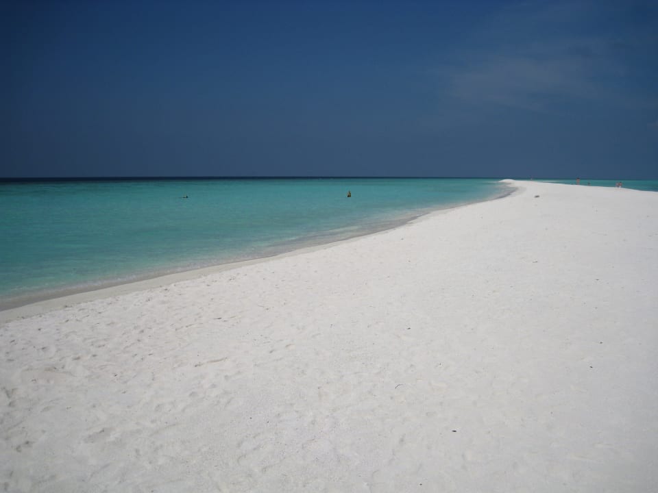 Sandbank Kuramathi Maldives