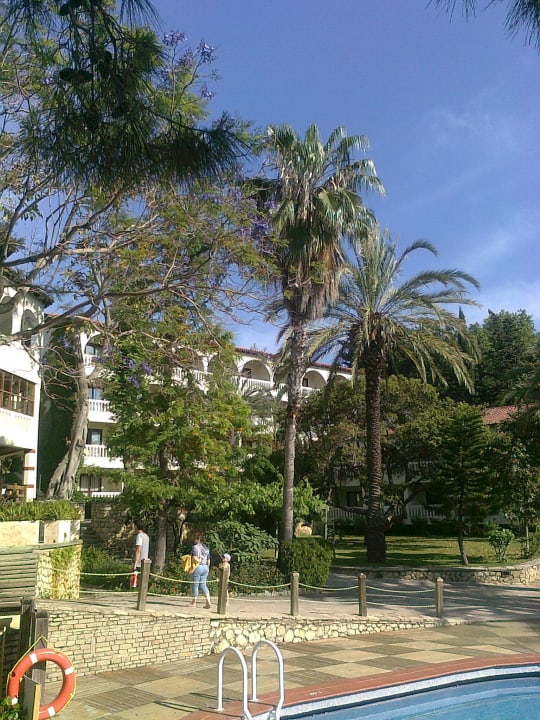 Blick vom Pool in den 'Paradiesgarten' Alara Hotel