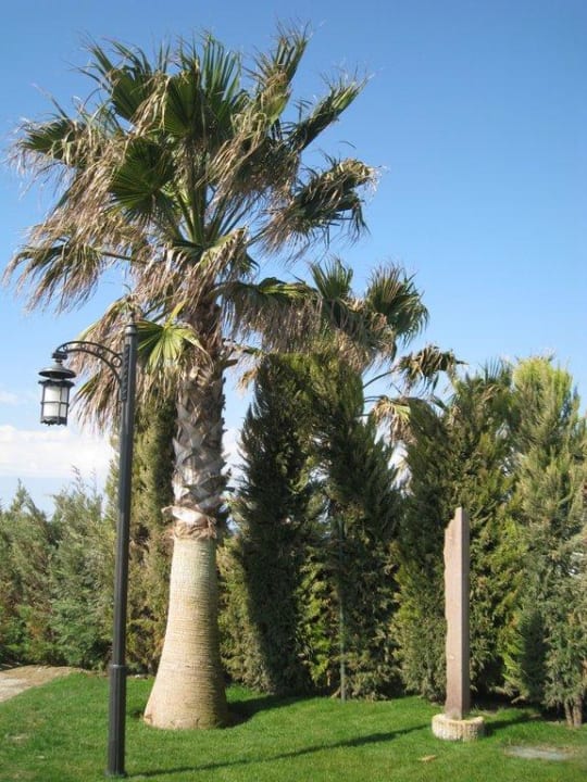 Teil der gepflegten Gartenanlage  Voyage Belek Golf & Spa