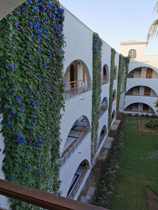 Ausblick Desert Rose