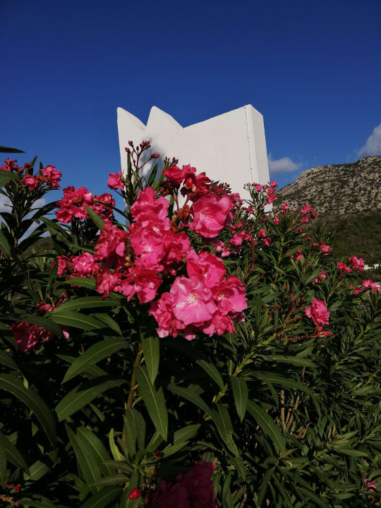 Garten Bodrum Park Resort