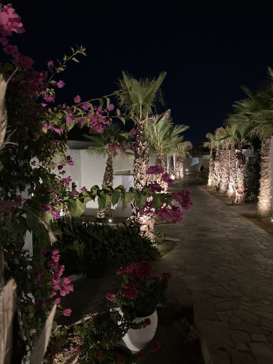Gartenanlage Knossos Beach Bungalows Suites Resort & Spa