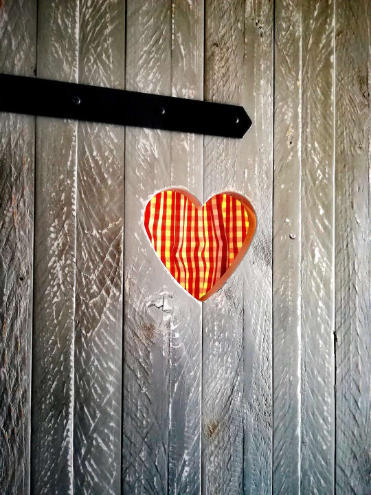 Zimmer Bretterbude Heiligenhafen