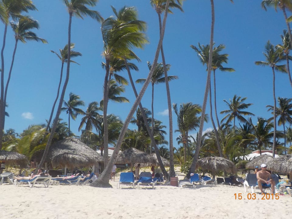 Hotel Grand Palladium Bávaro Suites Resort & Spa Grand Palladium Select Bávaro Resort & Spa