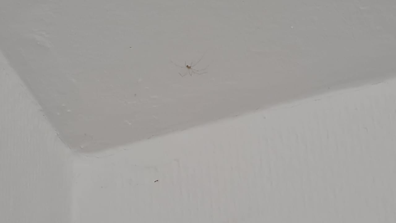 Zimmer Zum Obstler - Gaststätte und Pension