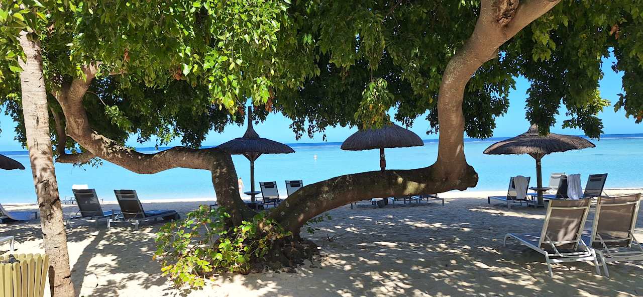 Strand La Pirogue Mauritius