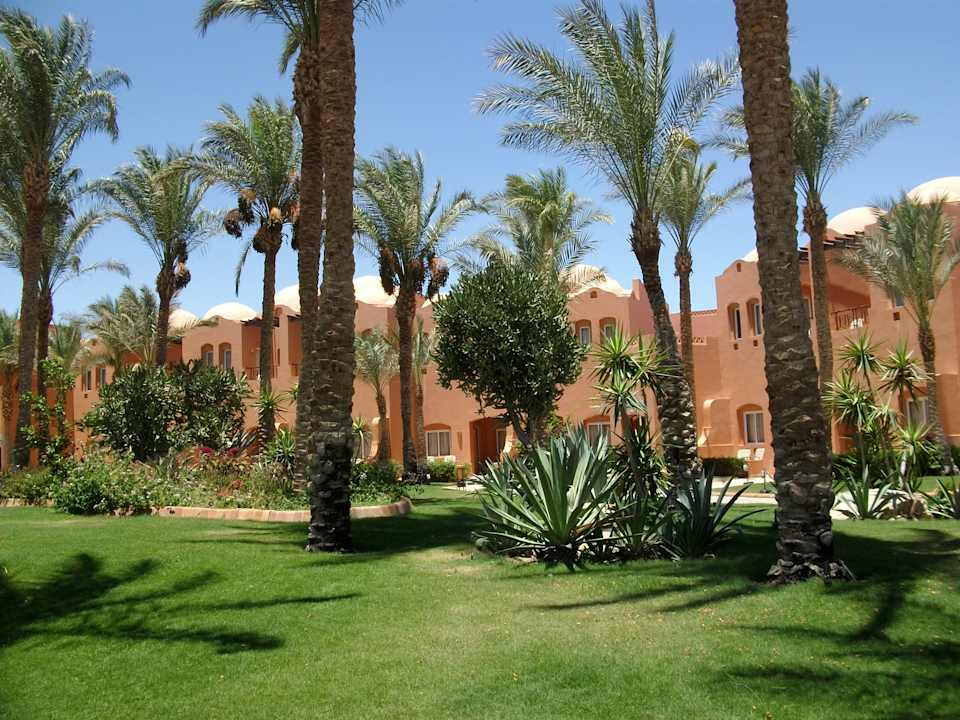 Gartenanlage Jaz Makadi Oasis Resort