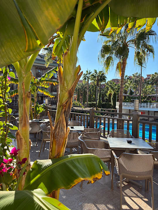 Gartenanlage Can Garden Resort