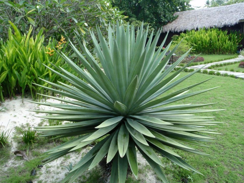 Garten Hotel Siladen Resort & Spa