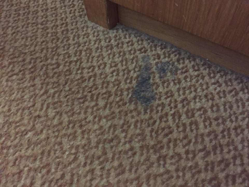 Zimmer Hotel Ibis Gloucester