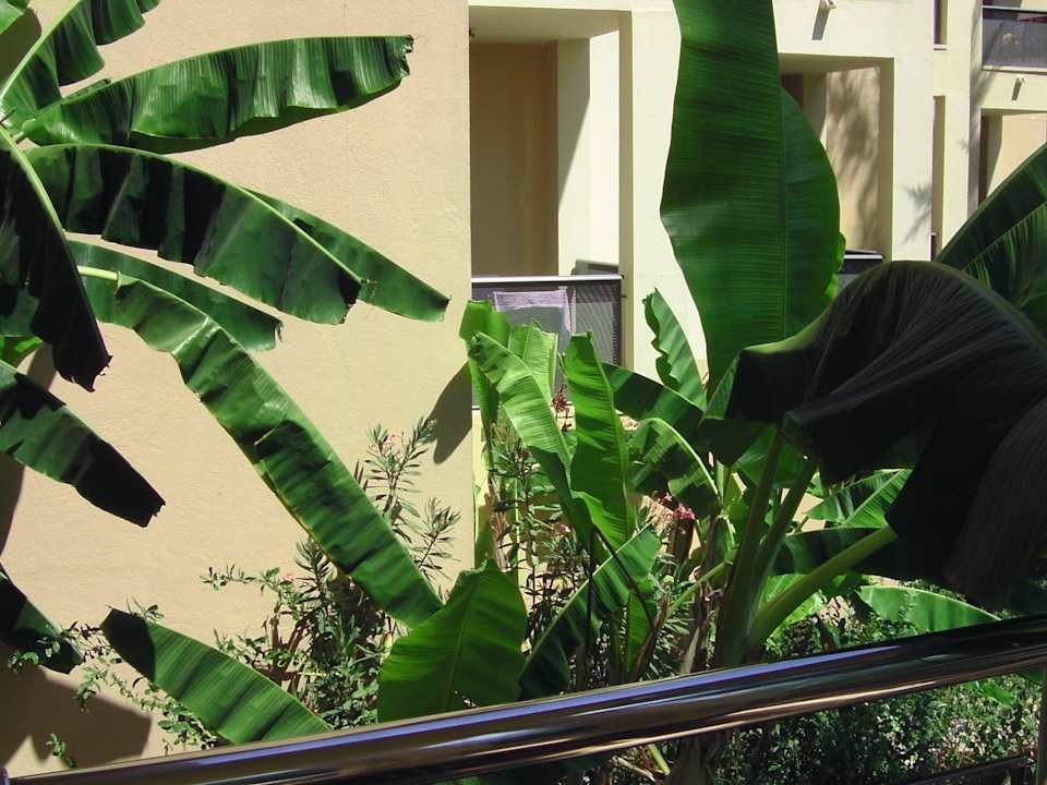 Zimmer-Ausblick Le Jardin Resort