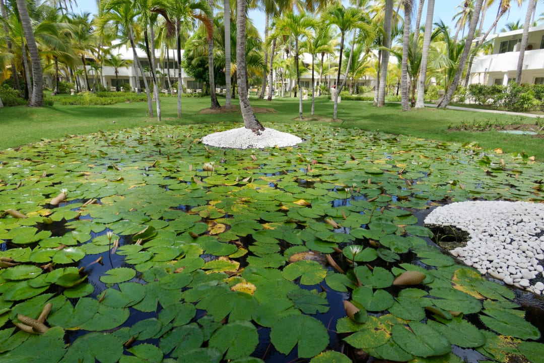 Gartenanlage Meliá Punta Cana Beach Resort - A Wellness Inclusive For Adults Only