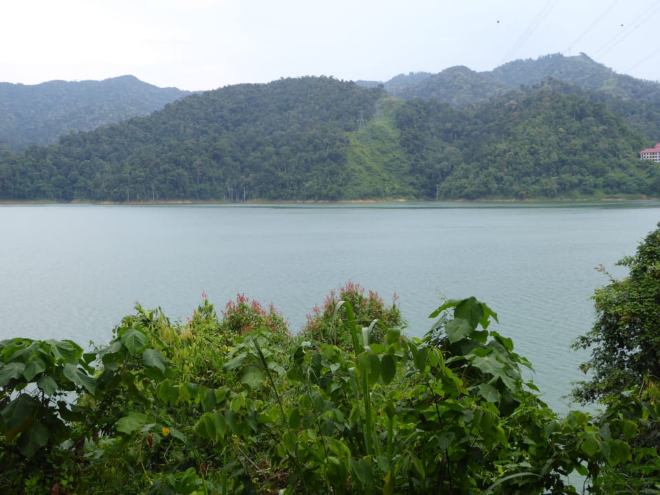 Blick zum See Hotel Belum Rainforest Resort