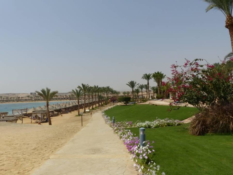 Blick auf den Strand Steigenberger Coraya Beach - Adults only