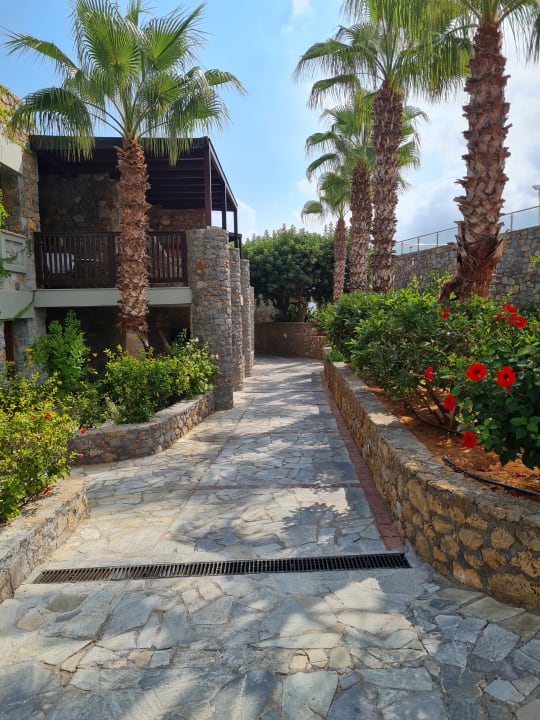 Gartenanlage Ikaros Beach Luxury Resort & Spa - Adults Only
