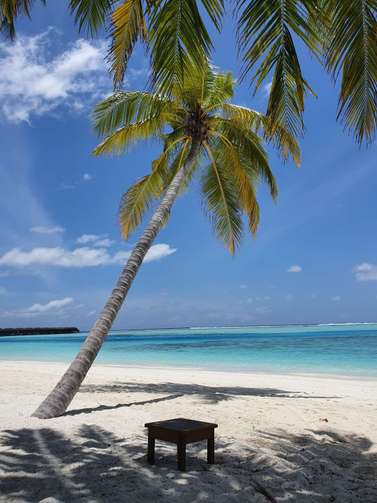Strand Meeru Maldives Resort Island