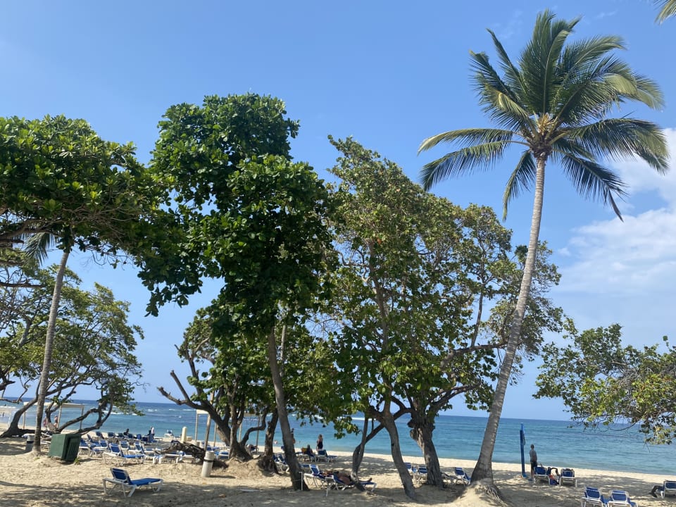 Strand Marien Puerto Plata