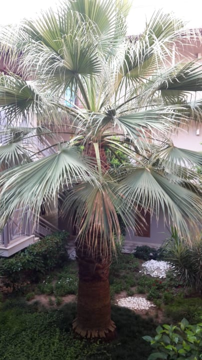 Gartenanlage im Nebengebäude Sunis Elita Beach Resort & Spa