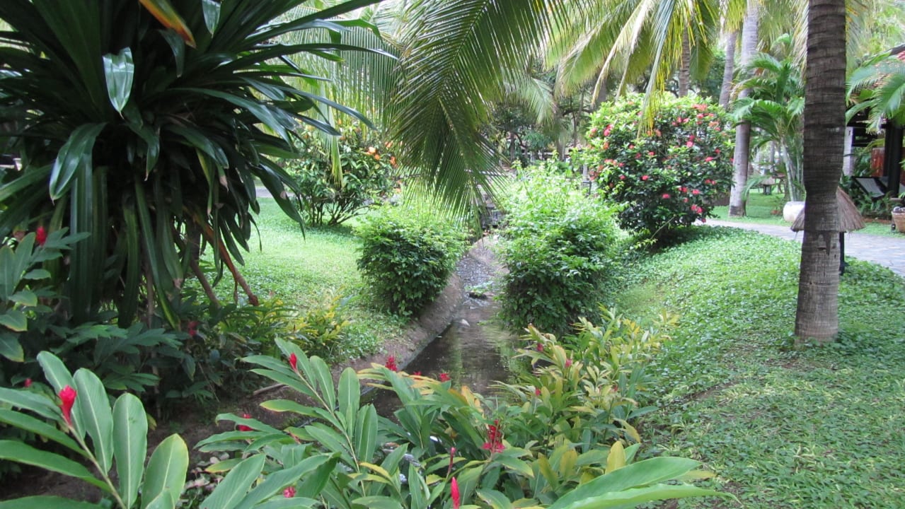 Wetlands Bamboo Village Beach Resort & Spa