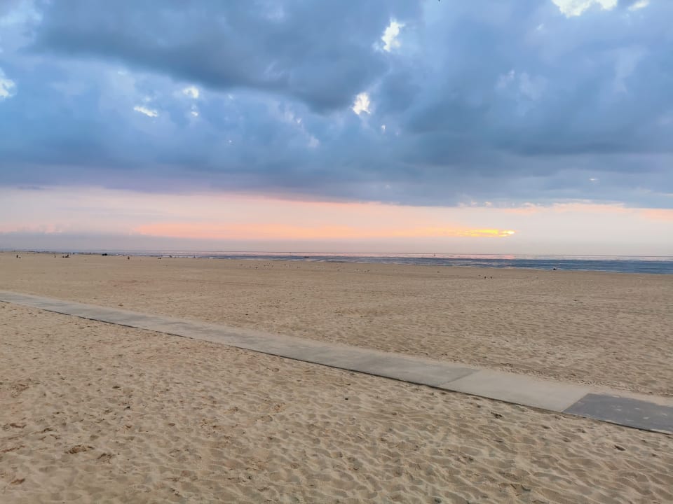 Ausblick Beach Houses Den Haag