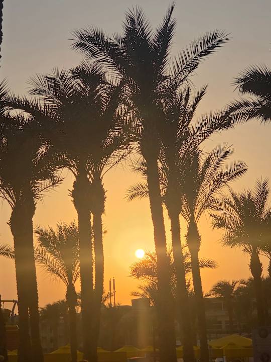 Sonstiges Pickalbatros Palace Resort