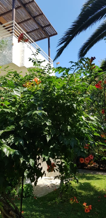 Gartenanlage Apollonia Beach Resort & Spa