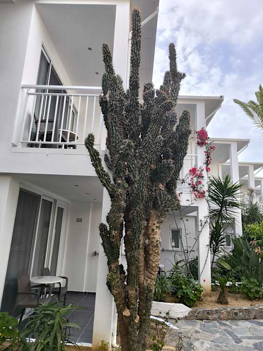 Gartenanlage HARPIN Happy Days Beach Hotel