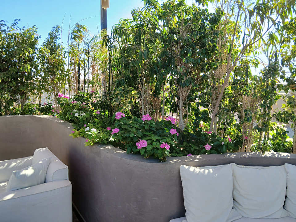 Gastro Sentido Naga Bay