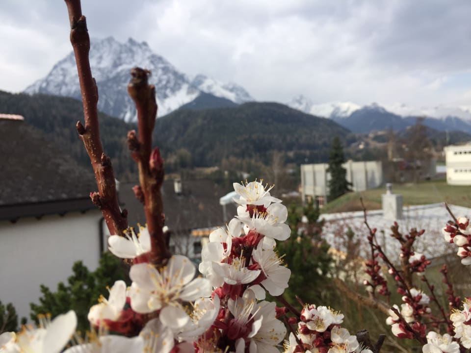 Ausblick Ferienwohnung Chasa Bazzi