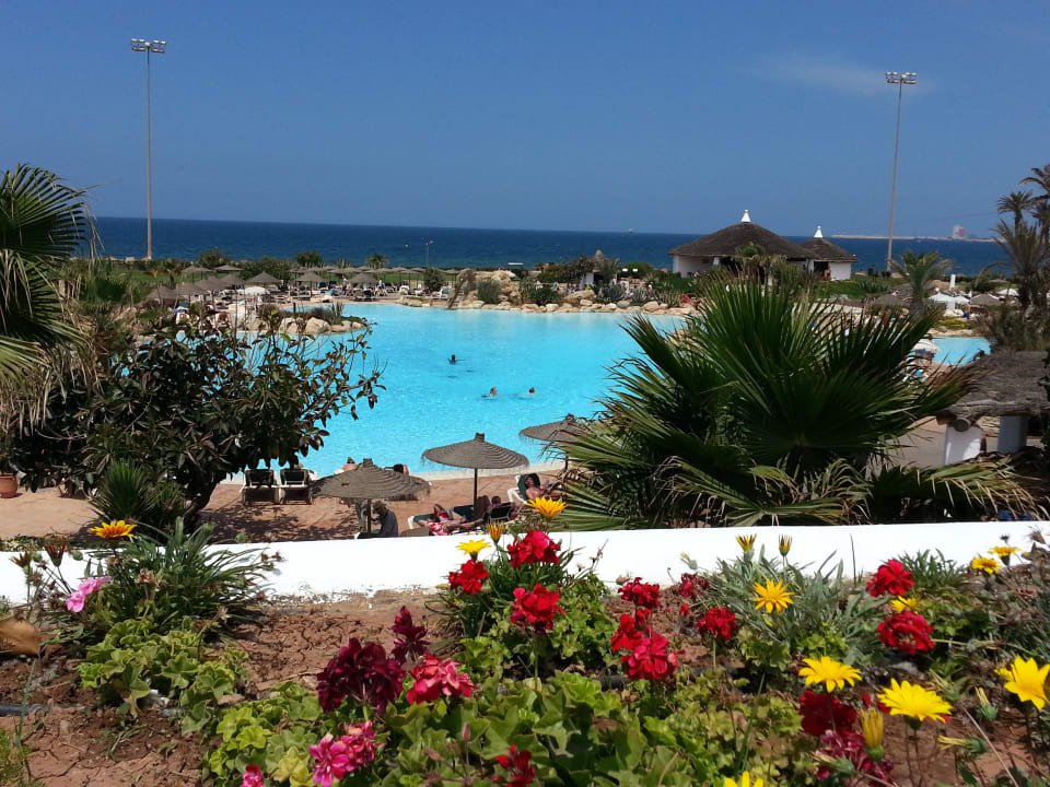 Schöner Pool Hotel Riu Tikida Dunas