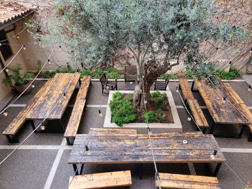 Gartenanlage The Boc Hostels - Palma Albergue Juvenil