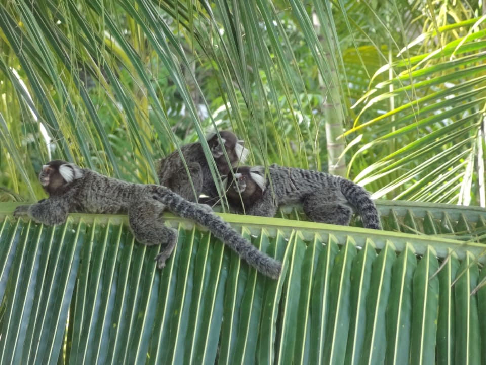 Sonstiges Hotel Porto Zarpa
